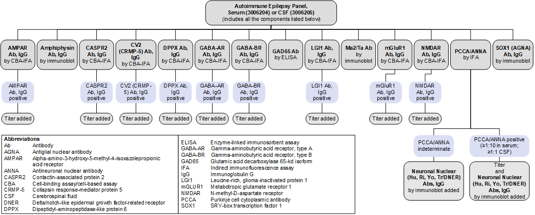 Reflex patterns for Autoimmune Epilepsy Panels